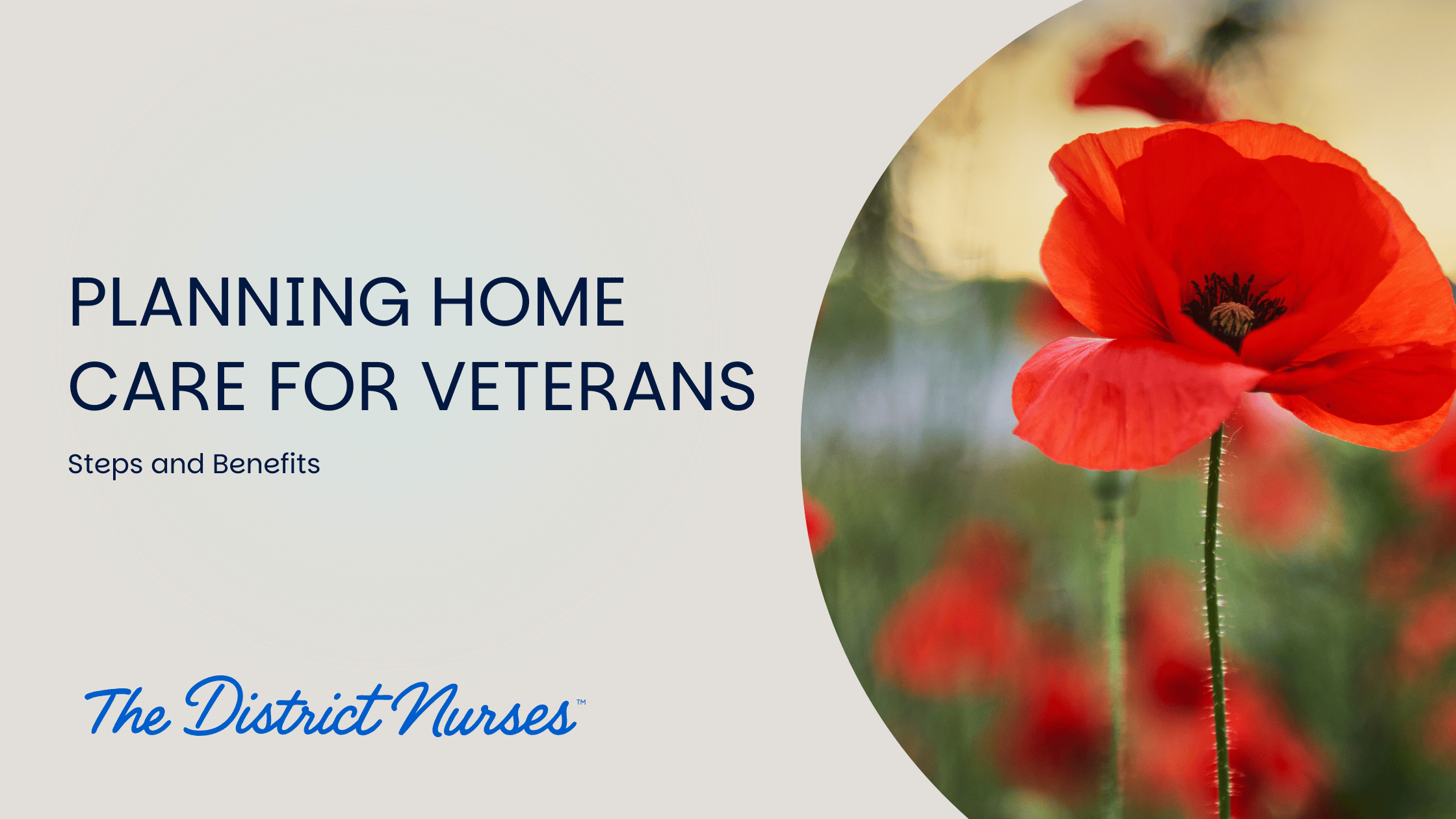 Planning Home Care for Veterans: Steps and Benefits